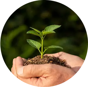 Home 11 Commitment to Sustainability
