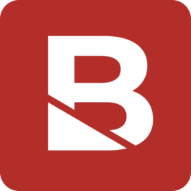 Budlong Logo